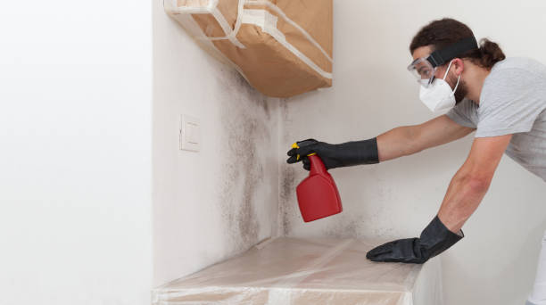 Professional Black Mold Removal technician working in Hudson, NC